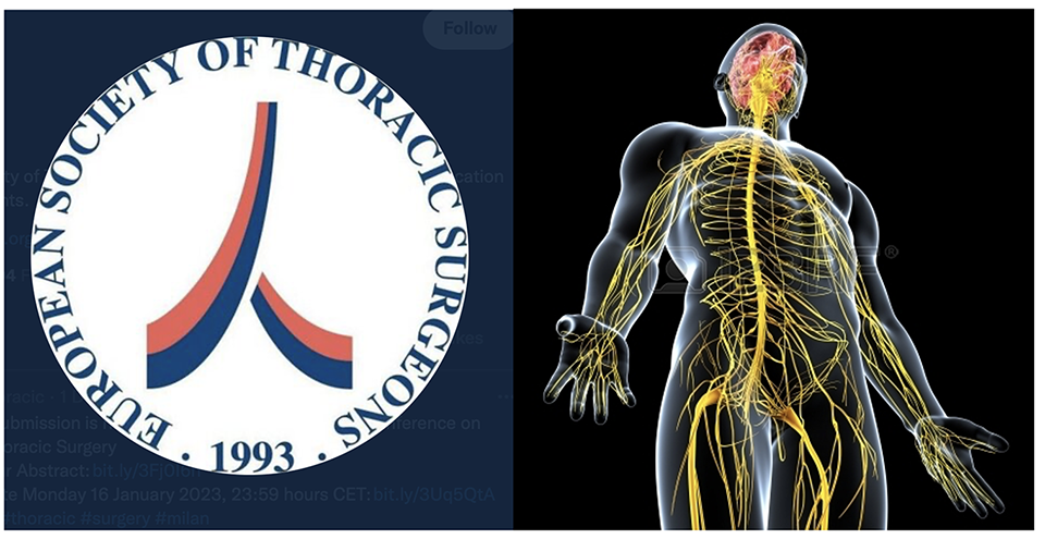 ESTS Survey on Thoracic Autonomic Nervous System Surgery image